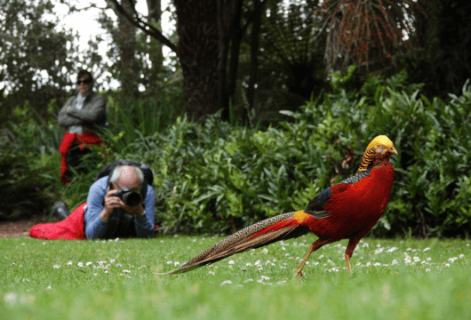 Best of British Isles