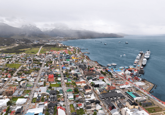 Antarctic Wildlife Adventure