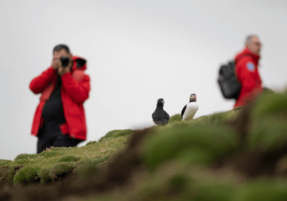 North Atlantic Wonders