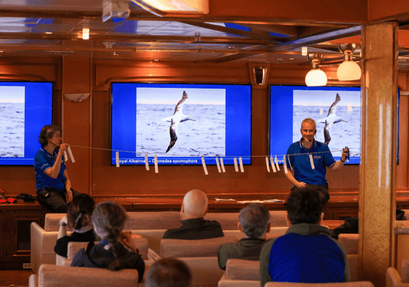 Antarctic Wildlife Adventure