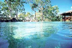 Thala Beach Nature Reserve