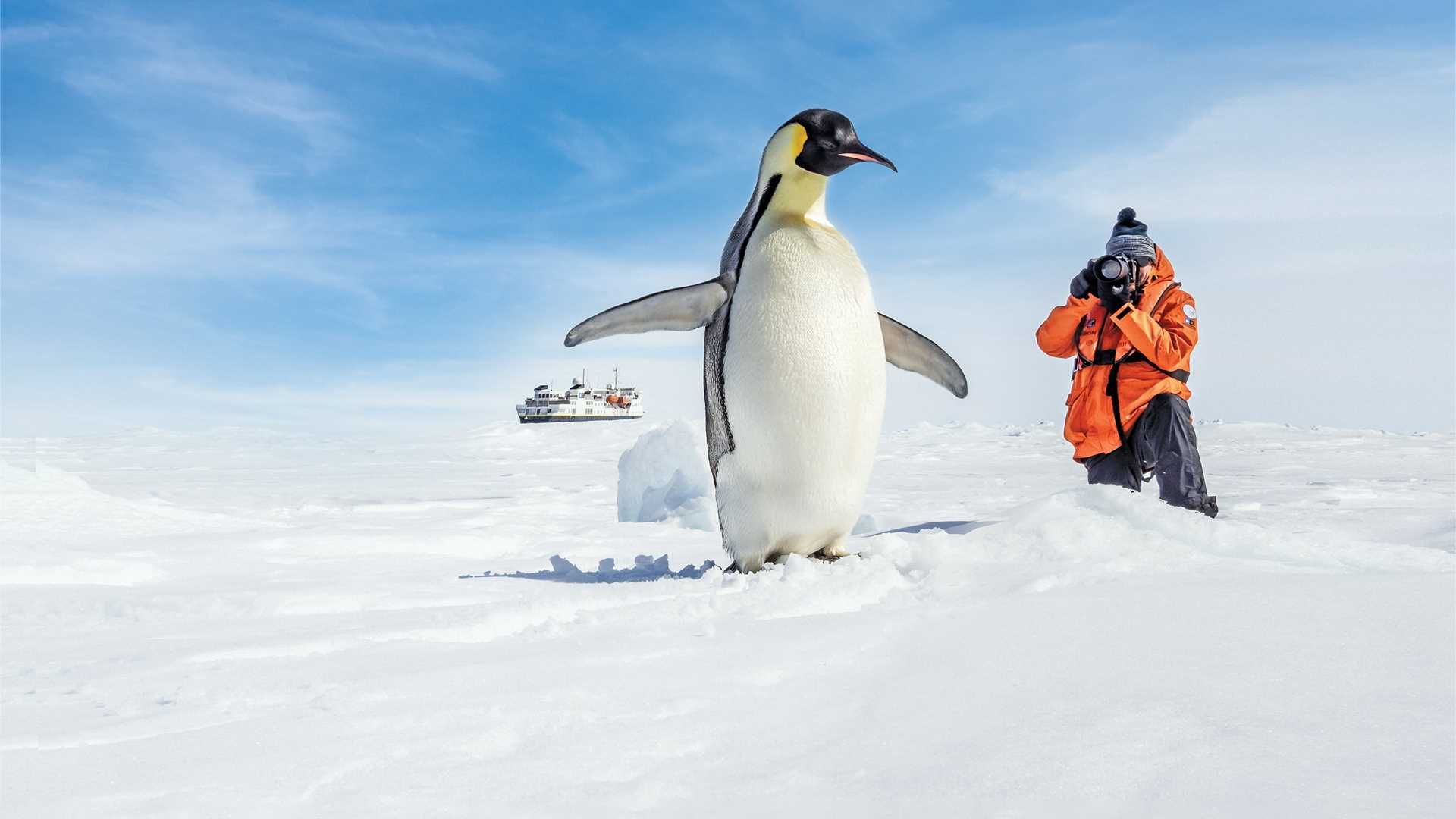 Epic Antarctica: From the Peninsula to the Ross Sea & Beyond