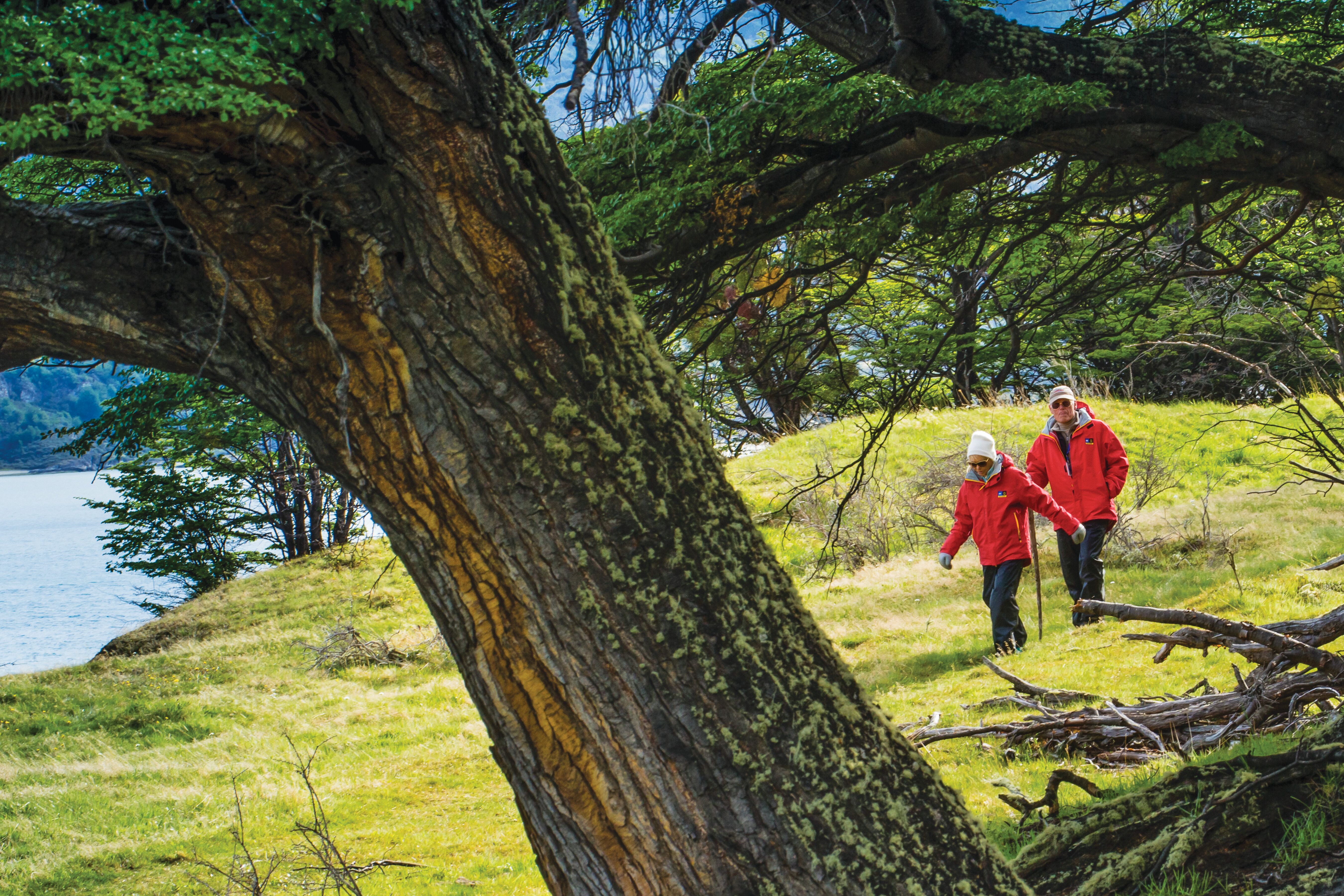 Patagonia, Chile, Argentina, expedition