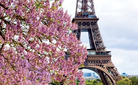  Photo Credit: Uniworld