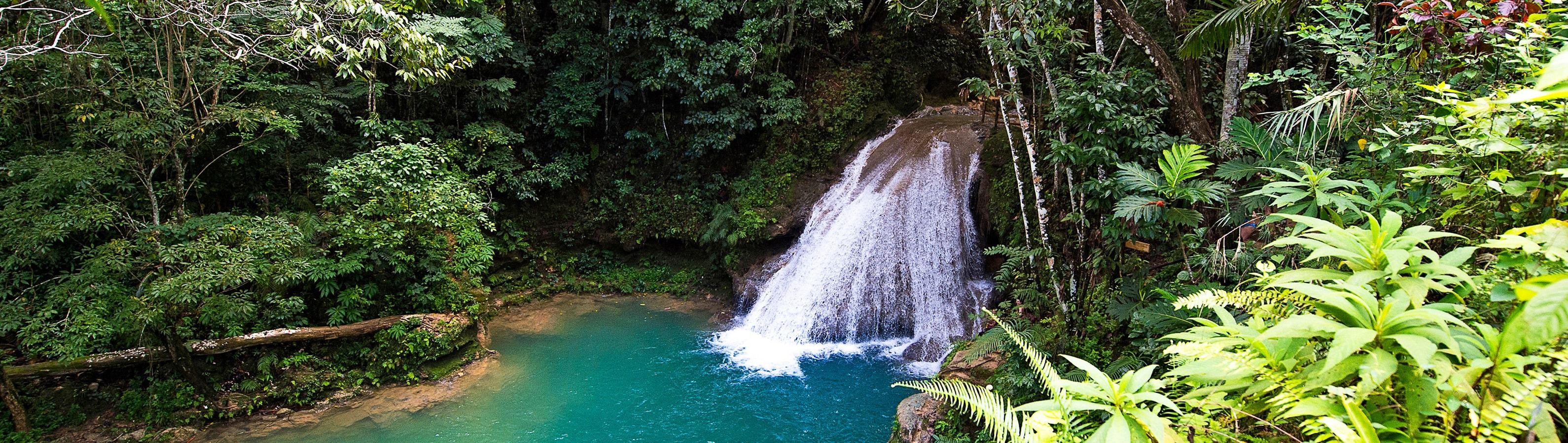  Photo Credit: MSC Cruises