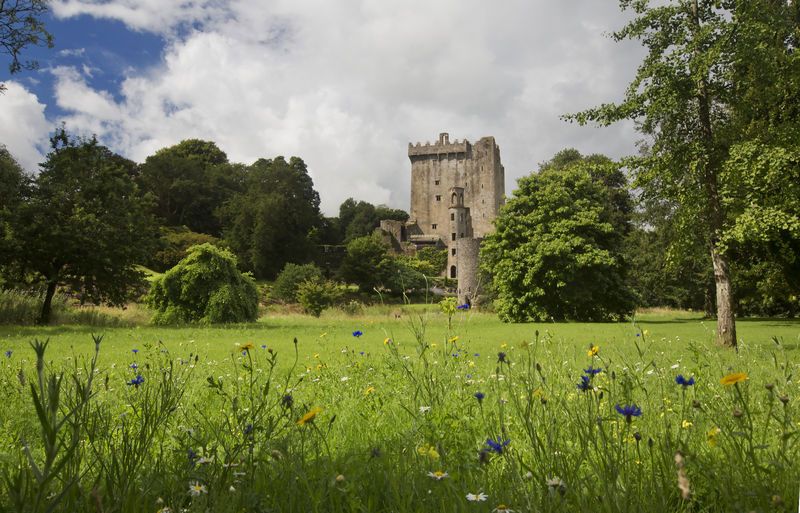Irish Supreme Tour with Private Driver/Guide - 8 Night  Customizable Itinerary