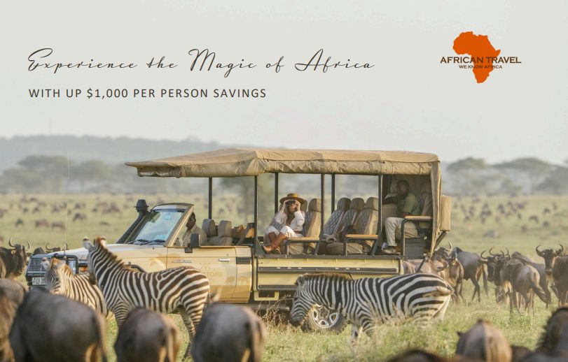 Save Up to $1,000 on Your Dream Safari