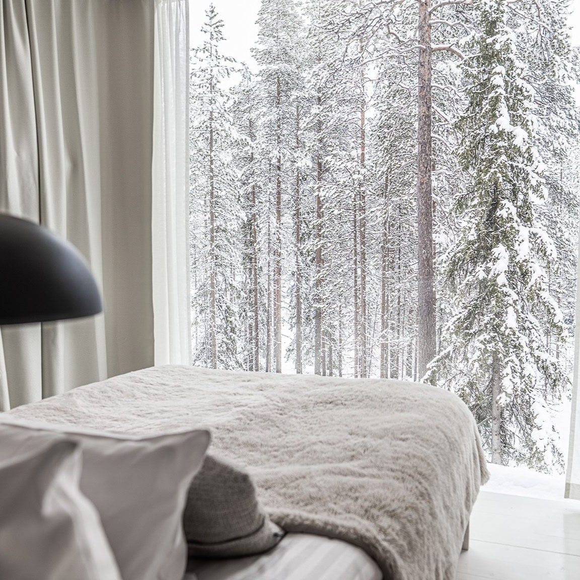 Arctic TreeHouse Hotel