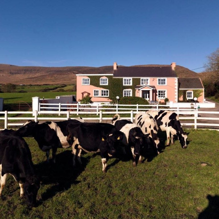 CO.KERRY - CASTLEMAINE - MURPHYS FARMHOUSE B AND B