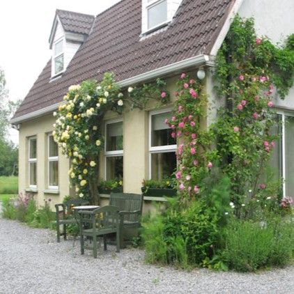 CO.OFFALY - TULLAMORE - GORMAGH B AND B