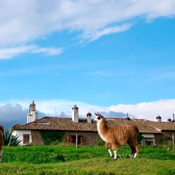 COTOPAXI - SAN AGUSTIN DE CALLO
