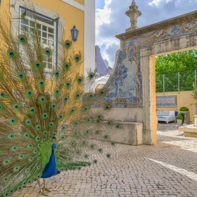LISBON - SOLAR DO CASTELO
