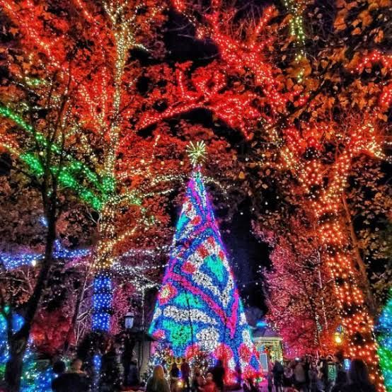 christmas-branson-tree-2026