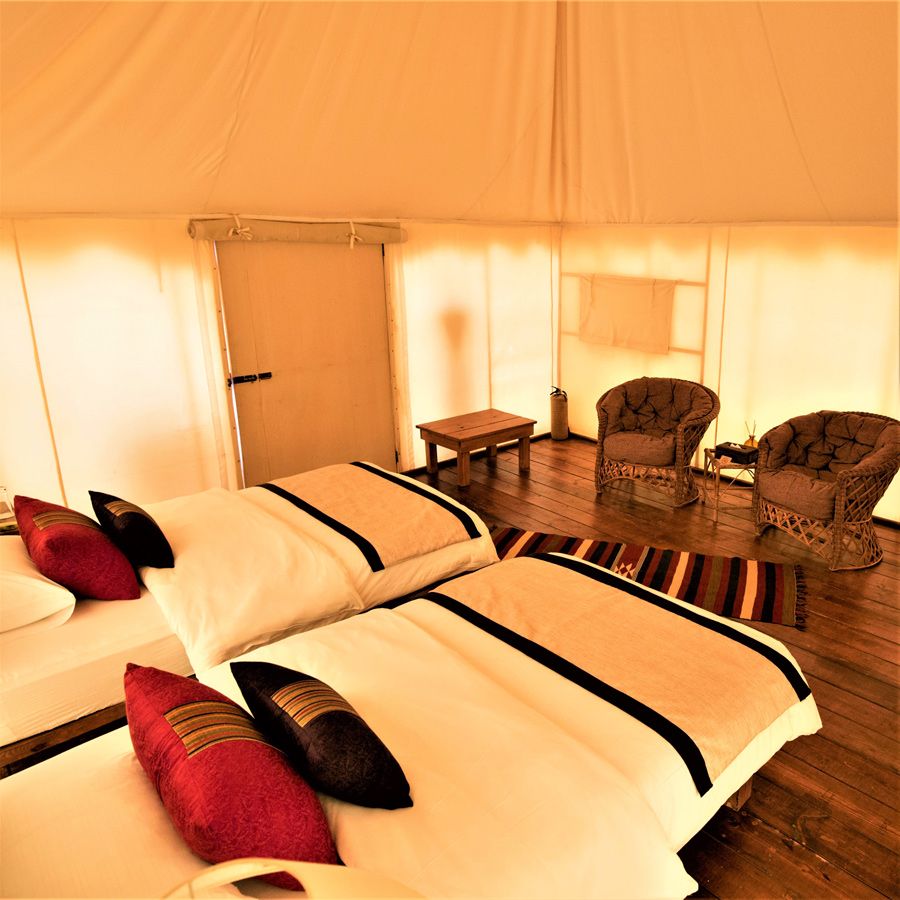 Discovery Bedu Camp