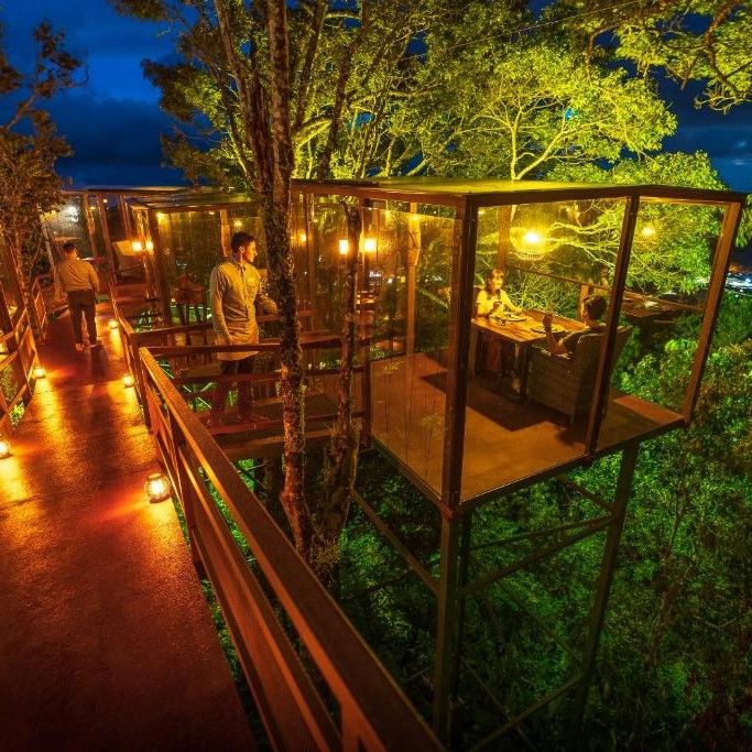 MONTEVERDE - CHIRA GLAMPING