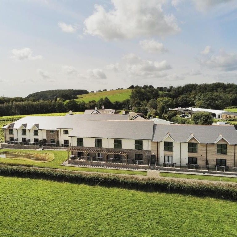 Llanerch Vineyard