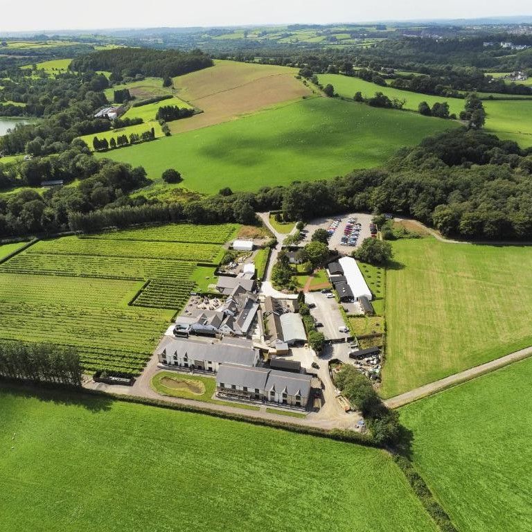 HENSOL - LLANERCH VINEYARD