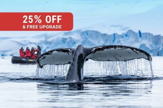 Seasonal Savings