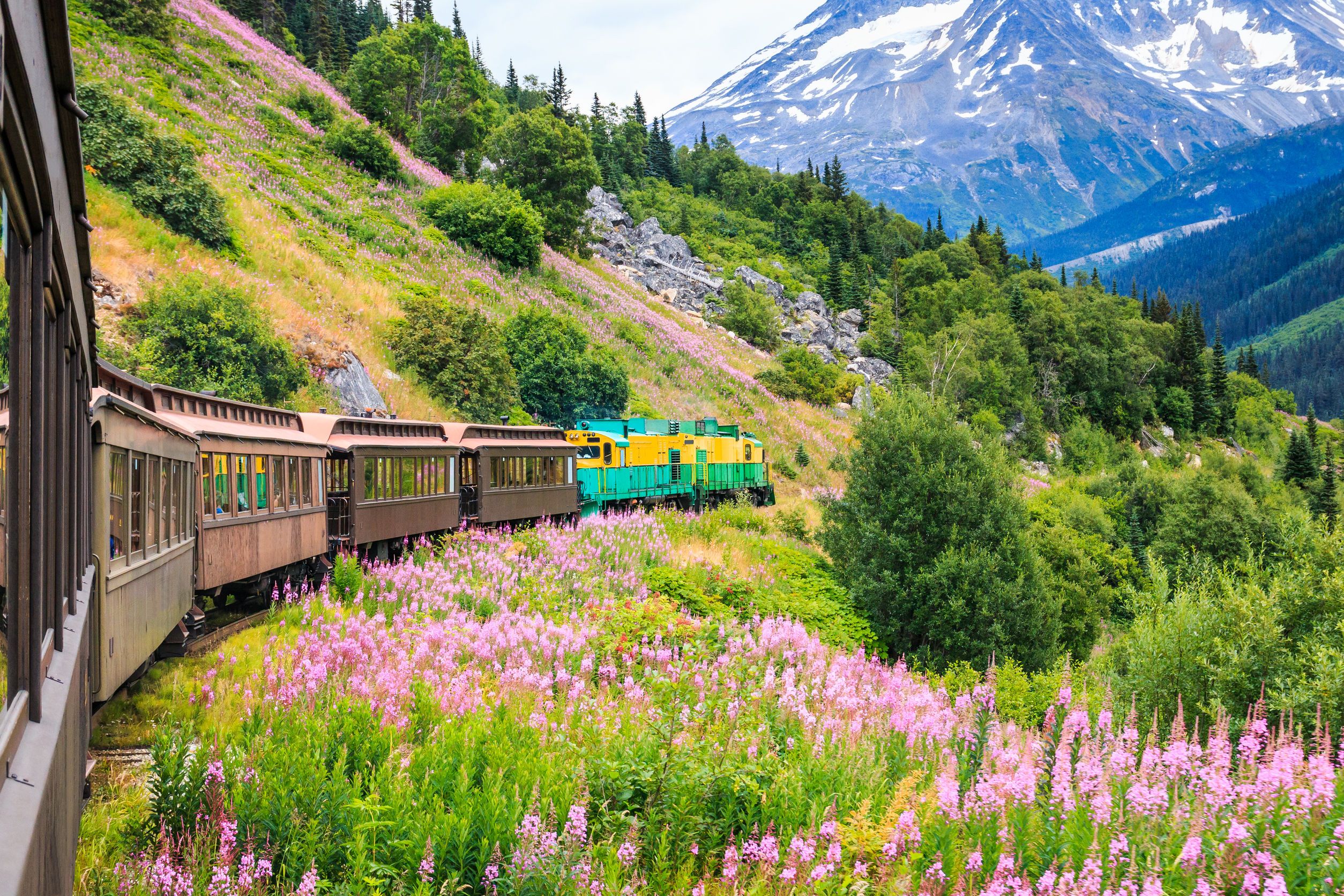 Custom Alaska Denali & Kenai Fjords National Parks Adventure Tour