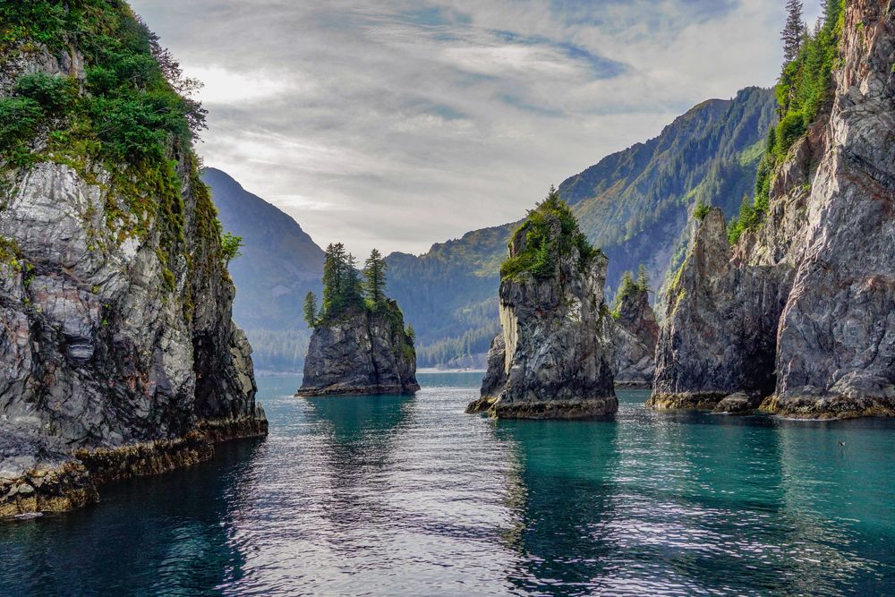 Custom Alaska Denali & Kenai Fjords National Parks Adventure Tour