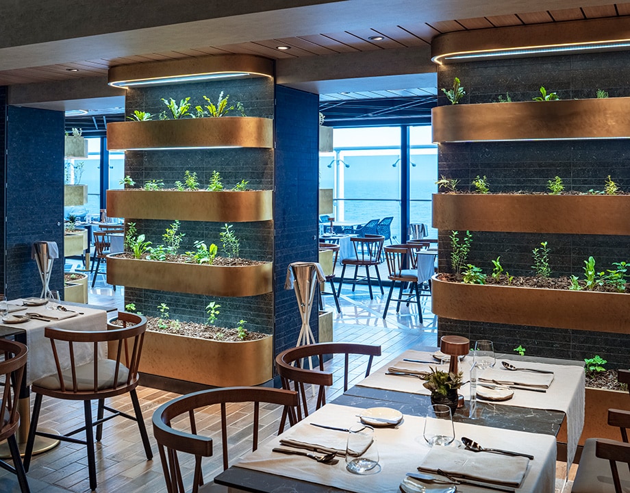 MSC World Europa on 21/11/2027