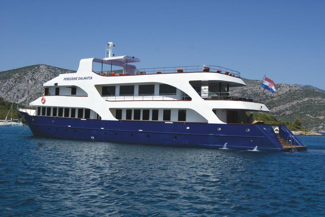 Peregrine Dalmatia