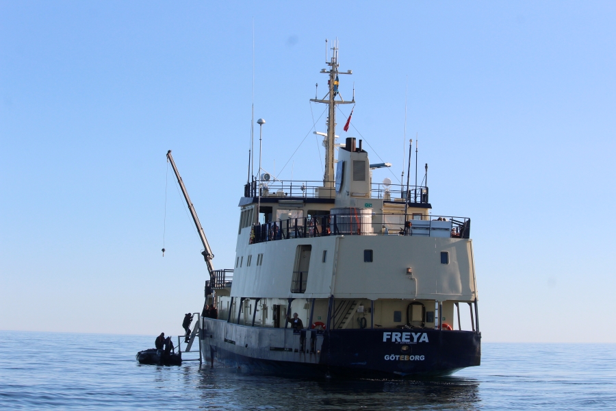 Svalbard Summer Micro Cruise