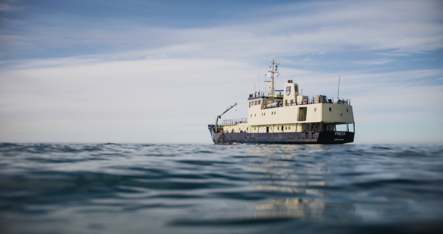 Svalbard Summer Micro Cruise