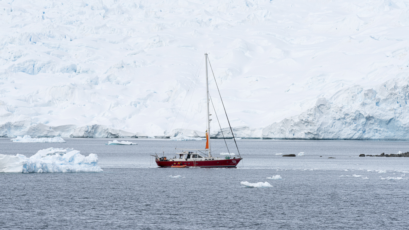 Icebird