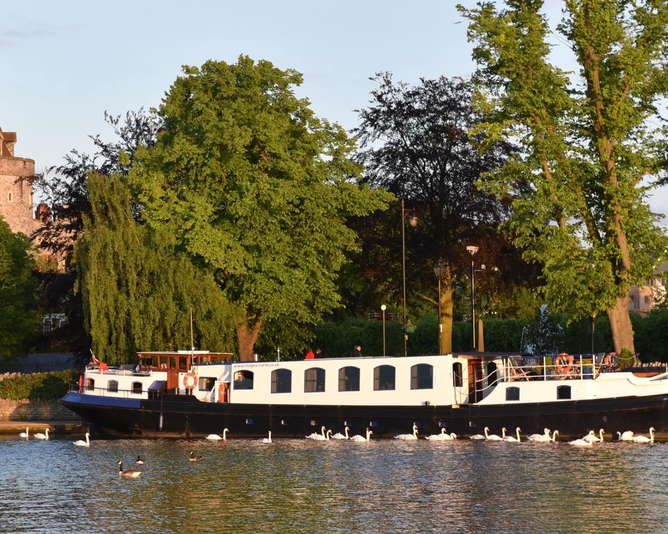 Magna Carta - River Thames