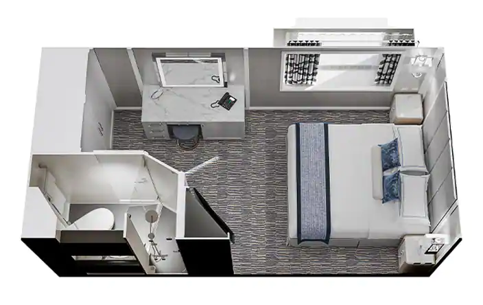 Solo Oceanview Stateroom