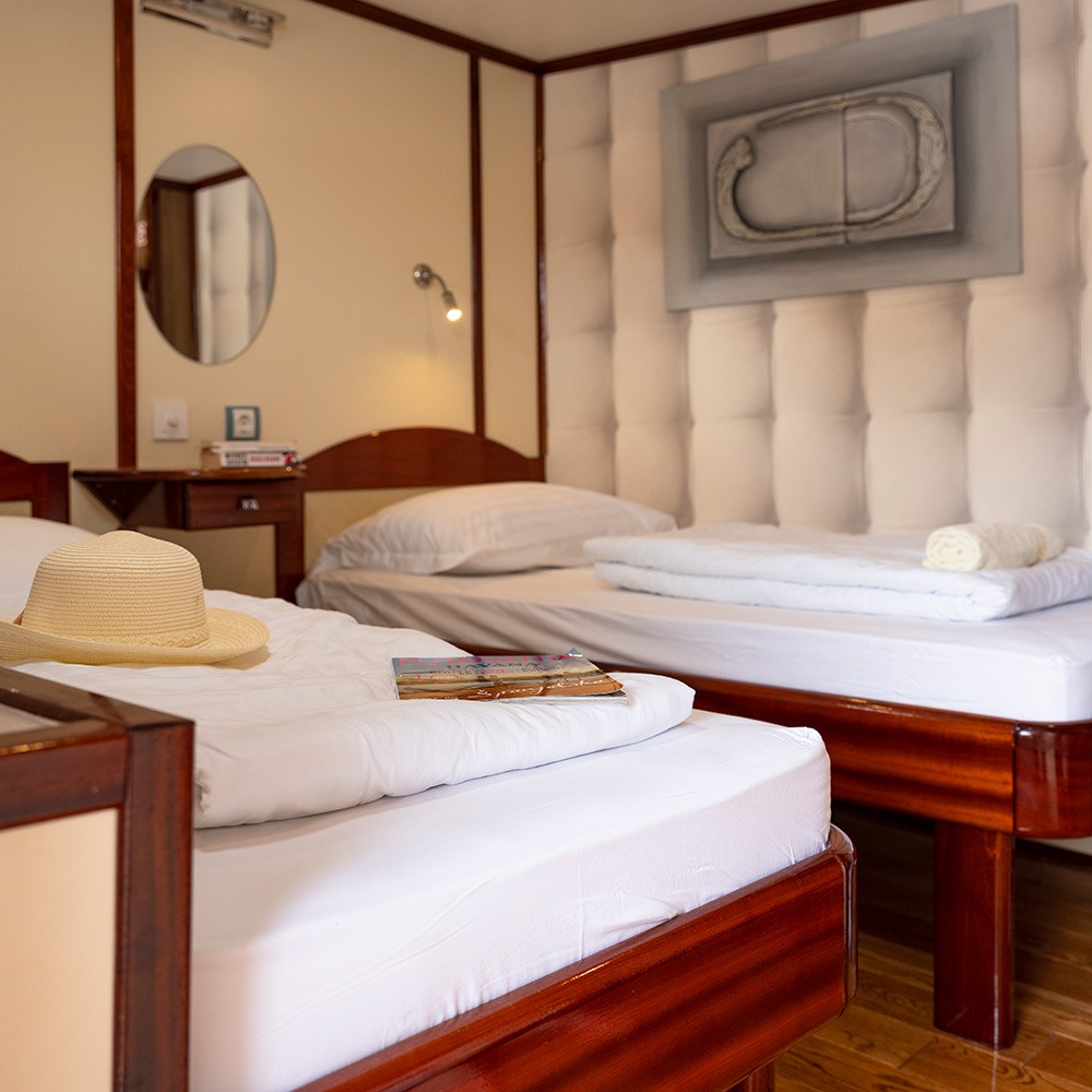 Category A+ cabin